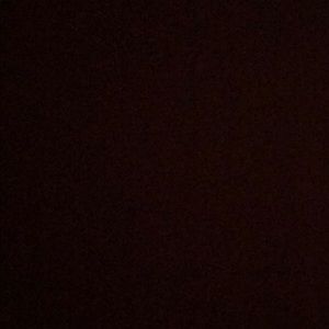 Meet your Posher, Bella